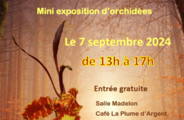 Bourse annuelle d’Orchidées – Saintes, Belgique – septembre 2024