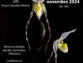 Exposition d’orchidées à Pluguffan – novembre 2024