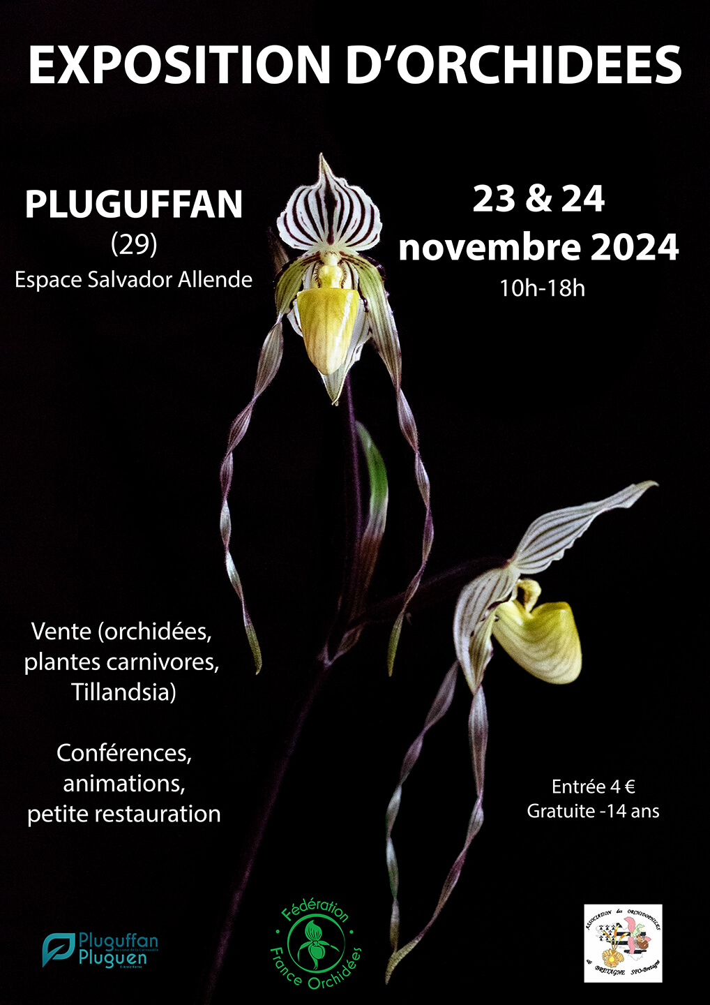 Exposition d'orchidées à Plugaffan - novembre 2024