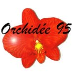 ORCHIDÉE 95