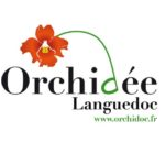ORCHIDÉE LANGUEDOC