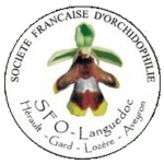 logo sfo languedoc