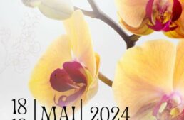 Exposition d’orchidées à Audenge (33) – mai 2024
