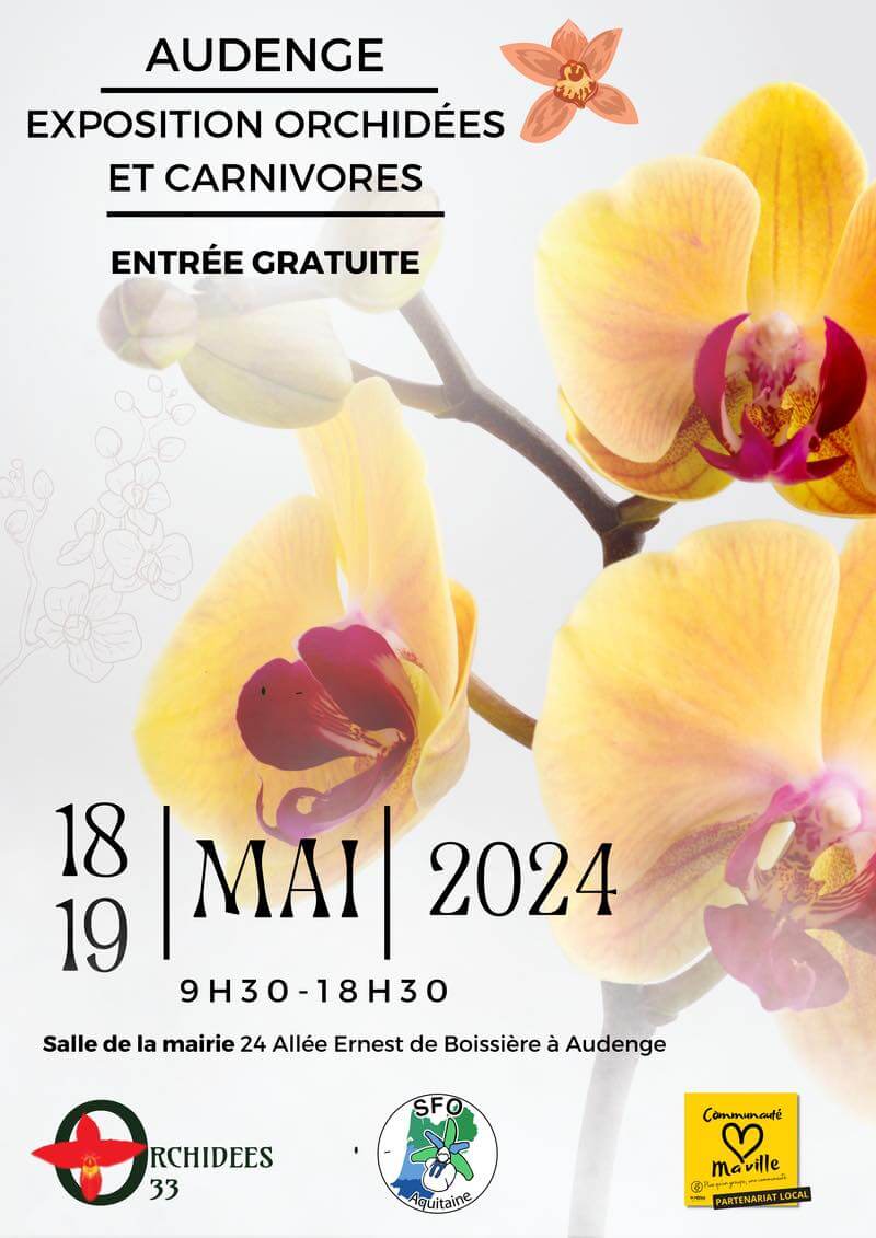 Exposition d'orchidées à Audenge (33) en mai 2024