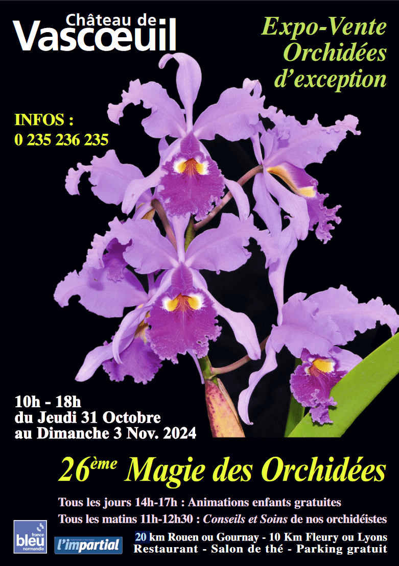Exposition d'orchidées à -Vascoeuil en octobre-novembre 2024