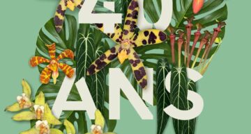 Exposition d’orchidées GMPAO à l’Union (31) – octobre 2024