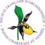 logo sfo poitou-charentes-vendee