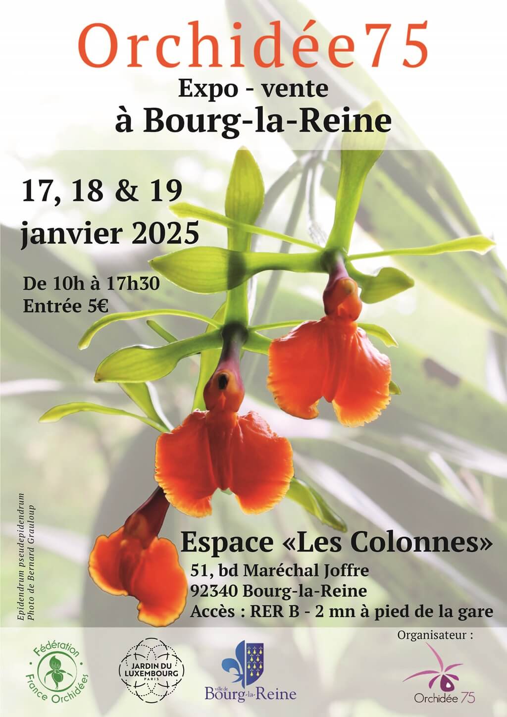 Exposition Orchidee 75 à Bourg-la-reine - janvier 2024