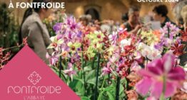 Festival Orchidées à Fontfroide (11) – octobre 2024