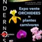 Exposition d’orchidées à Andernos (33) – octobre 2024