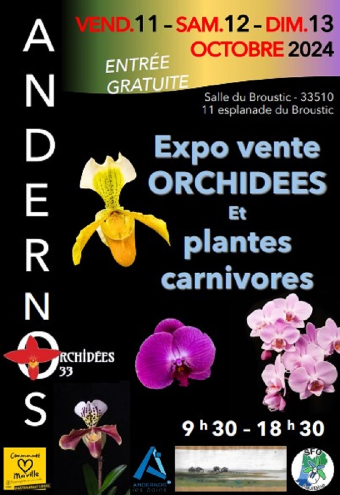 Exposition d'orchidees-Andernos-les-Bains en octobre 2024