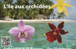 Exposition d’orchidées à Vergèze (30) – janvier-février 2025