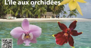 Exposition d’orchidées à Vergèze (30) – janvier-février 2025