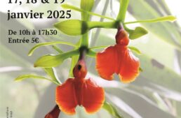 Exposition Orchidée 75 à Bourg-la-Reine (92) – janvier 2025