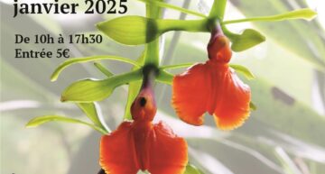 Exposition Orchidée 75 à Bourg-la-Reine (92) – janvier 2025