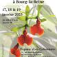 Exposition Orchidée 75 à Bourg-la-Reine (92) – janvier 2025