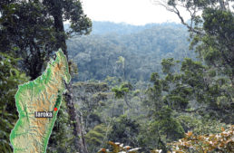 Une convention de mécénat d’entreprise pour la forêt de Iaroka à Madagascar