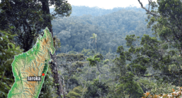 Une convention de mécénat d’entreprise pour la forêt de Iaroka à Madagascar