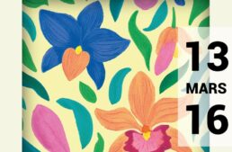 Exposition d’orchidées à Vaucelles (59) – mars 2025