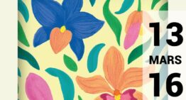 Exposition d’orchidées à Vaucelles (59) – mars 2025