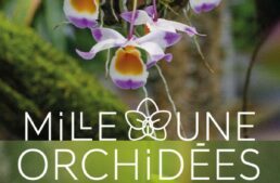 Exposition mille & une orchidées à Paris (75) – février-mars 2025