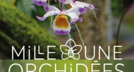 Exposition mille & une orchidées à Paris (75) – février-mars 2025