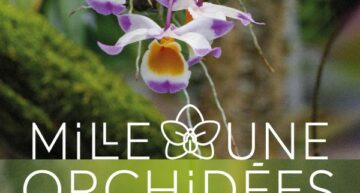 Exposition mille & une orchidées à Paris (75) – février-mars 2025