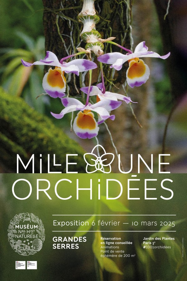 Exposition mille & une orchidées 2025