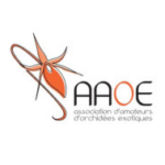 Logo AAOE