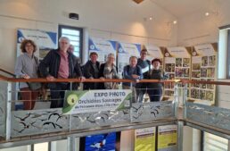 Exposition et conférence sur les orchidées sauvages de PACA (83) – janvier-mars 2025
