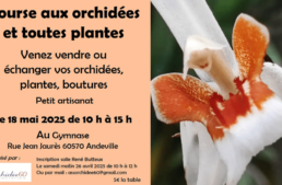 Bourse aux orchidées et toutes plantes à Andeville (60) – mai 2025