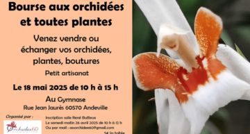 Bourse aux orchidées et toutes plantes à Andeville (60) – mai 2025