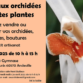 Bourse aux orchidées et toutes plantes à Andeville (60) – mai 2025