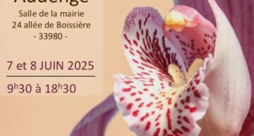 Exposition d’orchidées et plantes carnivores à Audenge (33) – juin 2025