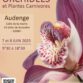 Exposition d’orchidées et plantes carnivores à Audenge (33) – juin 2025