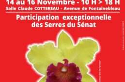Exposition Orchidée 77 à Chailly-en-Bière (77) – novembre 2025
