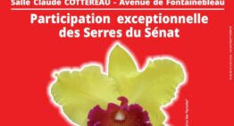 Exposition Orchidée 77 à Chailly-en-Bière (77) – novembre 2025