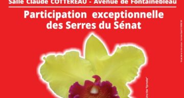 Exposition Orchidée 77 à Chailly-en-Bière (77) – novembre 2025