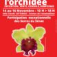 Exposition Orchidée 77 à Chailly-en-Bière (77) – novembre 2025