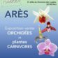 Exposition orchidées 33 à Ares (33) – octobre 2025