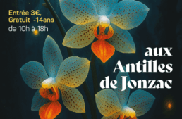 Exposition d’orchidées à Jonzac (17) – décembre 2025