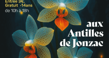 Exposition d’orchidées à Jonzac (17) – décembre 2025