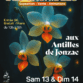 Exposition d’orchidées à Jonzac (17) – décembre 2025