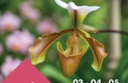 Festival des Orchidées à Fontfroide (11) – octobre 2025