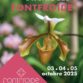 Festival des Orchidées à Fontfroide (11) – octobre 2025
