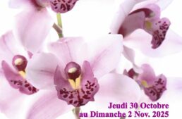 Exposition d’orchidées à Vascoeuil (27) – octobre-novembre 2025