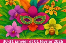 Exposition d’orchidées à Vergèze (30) – janvier-février 2026