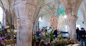 Exposition d’orchidées à Vaucelles (59) – mars 2026