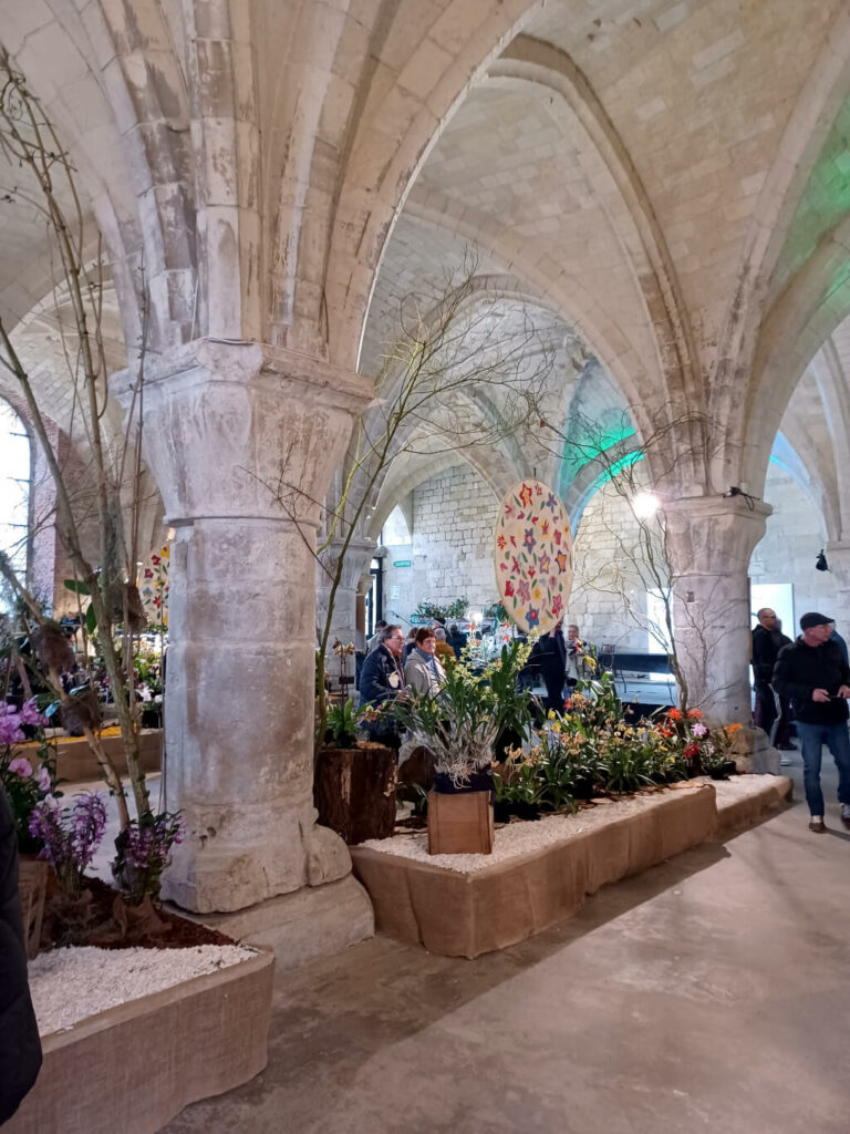 Abbaye de Vaucelles - exposition d'orchidées 2025