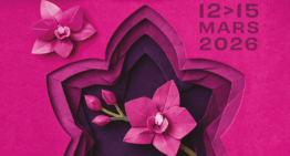 Exposition d’orchidées à Vaucelles (59) – mars 2026